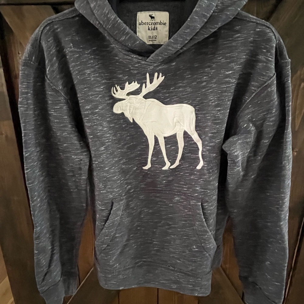 Abercrombie Kids Charcoal Hoodie with Moose Graphic